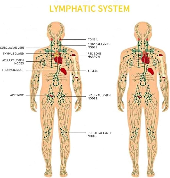 Ginger Oil,Ginger Massage Oil for Lymphatic Drainage,Natural Body Oil for Skin,Arnica Oil,Sore Muslce Massage Oil,Spa Ginger Oil-Warming and Relaxing for Mothers Day Gifts&Fathers Day Gift-HomvellaHome