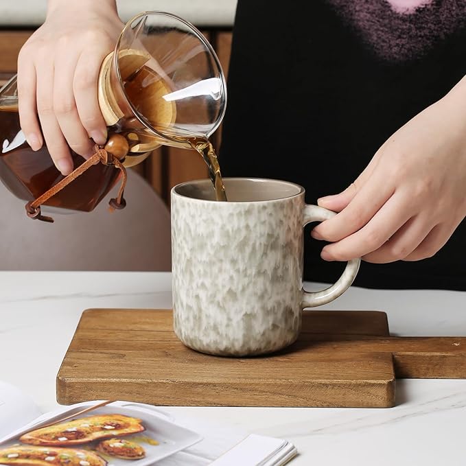 17 OZ Coffee Mugs Set of 6, Modern Mugs Set with handle for Tea/Latte/Cappuccino/Milk/Cocoa.-HomvellaHome