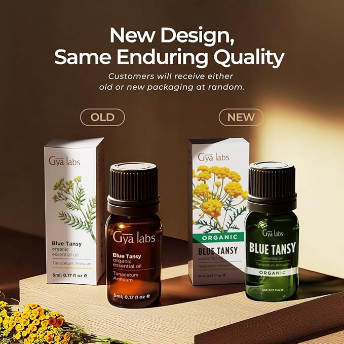 Gya Labs Blue Tansy Essential Oils for Skin - 0.17 Fl Oz - 100% Pure Natural Organic Blue Tansy Oil for Face, Diffuser, Candle Making Scent-HomvellaHome