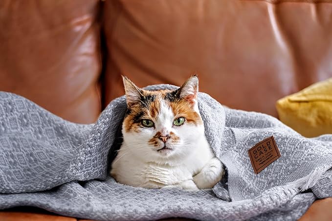 Gold Case Throw Blanket for Bed – 100% Recycled Turkish Cotton Bed Blanket – Decorative Throw Cotton Blankets for Living Room & Bedroom – Retro Navy Blue Woven Queen Blankets – 90x90-HomvellaHome