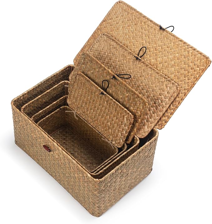 Wicker Basket with Lid, Seagrass Storage Basket, Woven Baskets for Storage, Decorative Storage Baskets for Shelf Organizing, Natural-HomvellaHome