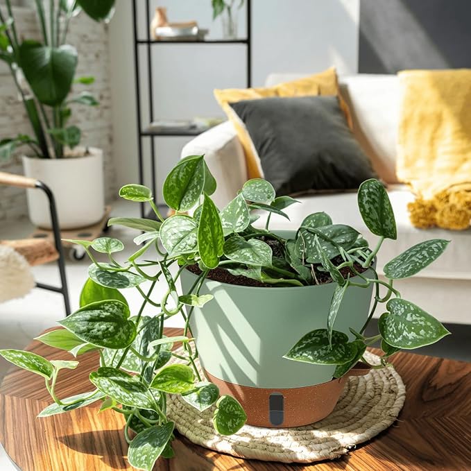 12/10/8 Inch Self Watering Pots for Indoor Plants Plastic Large Plant Pot for Outdoor Plants, Water Level Window & Spacious Reservoir Flower Pots Decorative Planter with Drainage and Tray (Green)-HomvellaHome