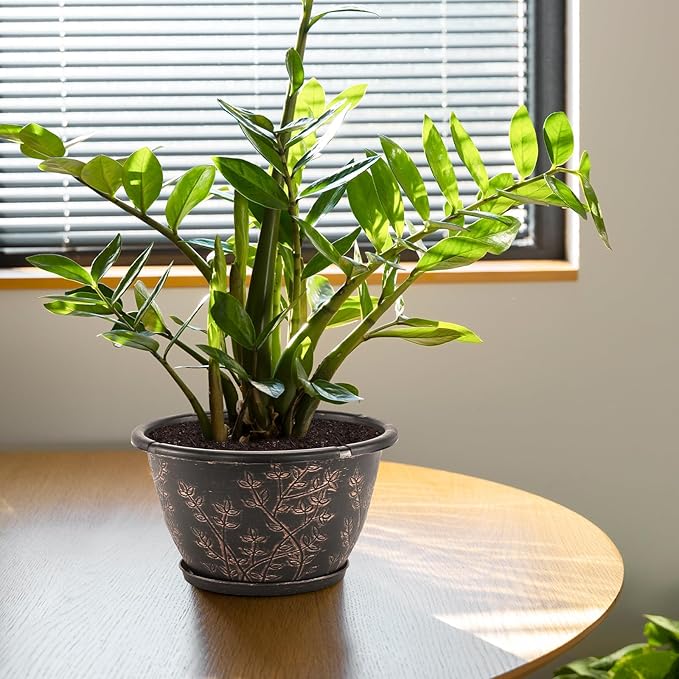 12-inch-Flower-Pots-Outdoor-Indoor, 4 Pack Plastic Planter Pots for Plant with Drainage Hole Saucer, Decorative Resin Garden Container with Tray-HomvellaHome