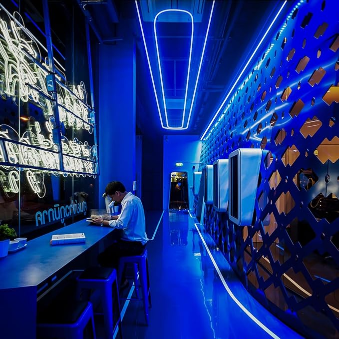 GZBtech Flexible LED Neon Rope Lights 16.4FT,AC 110-120V Waterproof Neon Strip Light, 120LEDs/M Cuttable Connectable Rope Lighting for Indoor Outdoor Home Decor/Commercial Building Use-Blue 5M-HomvellaHome