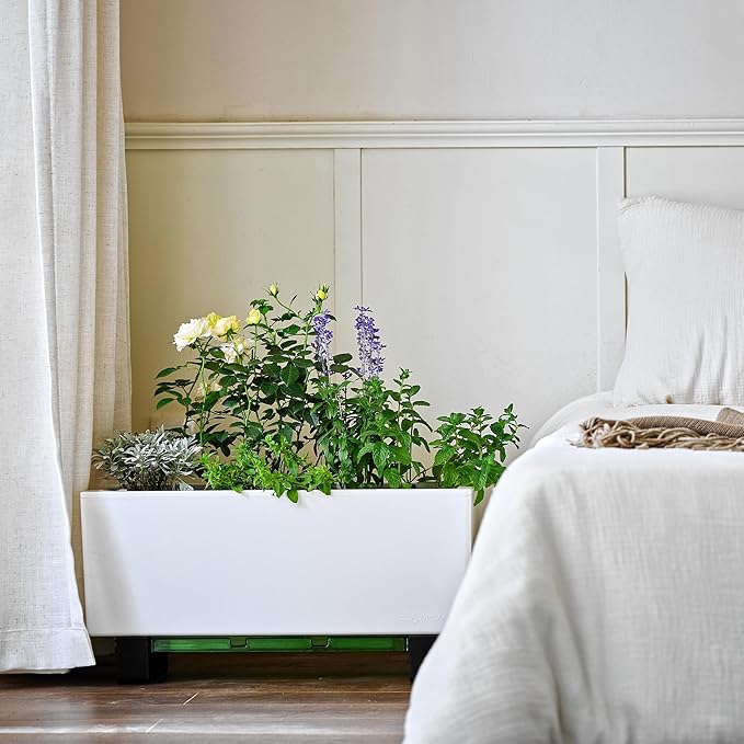 Glowpear Self-Watering Mini Bench Planter - 23.6" in Pot, Free Standing, UV Stable, Scalable, Indoor | Outdoor Pot with Water Gauge, for Home Kitchen Windowsill Gardening-HomvellaHome