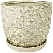 Generic Garden & Home White 10 Inch Indoor Ceramic Plant Pot with an Attached Saucer and Drainage Hole for House Plants, Herbs, Flowers, Succulent Plants, Snake Plants, Gifts for Mom, Standard Pot-HomvellaHome