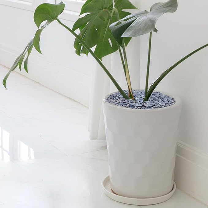 10LB Succulent and Cactus Gravel, 1/5 Inch Natural Decorative Polished Pebbles for Landscaping, Grey River Rocks for Plants, Vases, Aquariums, Terrarium and Outdoor Gardening-HomvellaHome