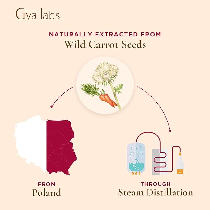 Gya Labs Carrot Seed Essential Oil - 0.34 Fl Oz - 100% Pure Natural Carrot Oil for Skincare, Hair, Scalp & Aromatherapy, Massages ,DIY ＆Candle Making Scent-HomvellaHome