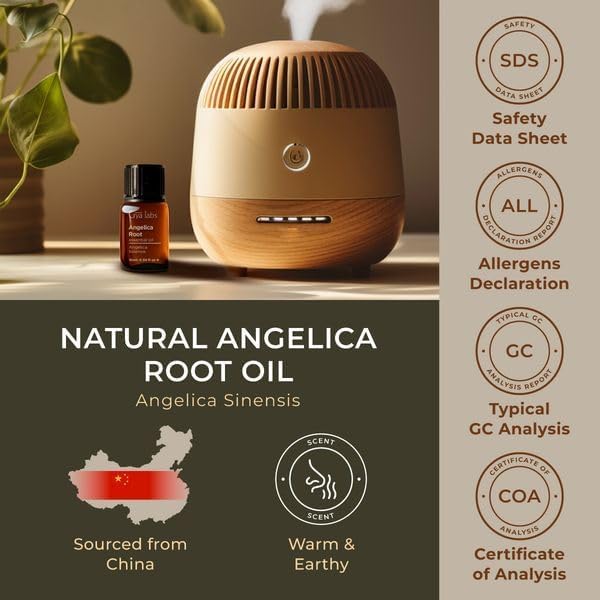 Gya Labs Angelica Root Essential Oil for Diffuser - 0.34 Fl Oz - 100% Pure Natural Angelica Oil for Skin, Hair, Massage & Candle Making Scent-HomvellaHome