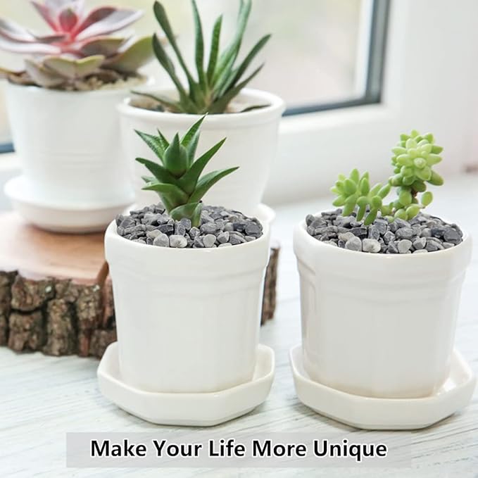 10LB Succulent and Cactus Gravel, 1/5 Inch Natural Decorative Polished Pebbles for Landscaping, Grey River Rocks for Plants, Vases, Aquariums, Terrarium and Outdoor Gardening-HomvellaHome