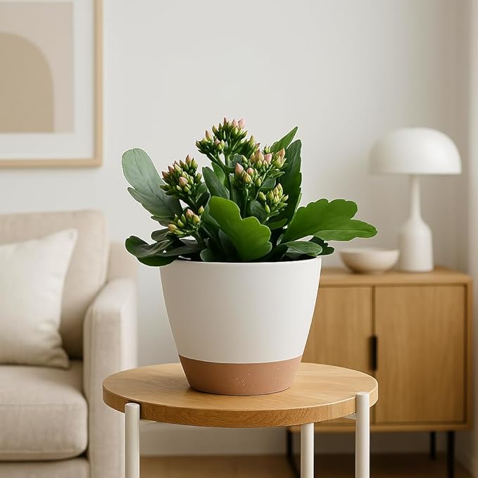 Giraffe Creation Plant Pots Set of 5 (10/9/8/7.5/7 inch), Self-Watering Indoor & Outdoor Flower Planters with Drainage Hole and Reservoir, White-HomvellaHome