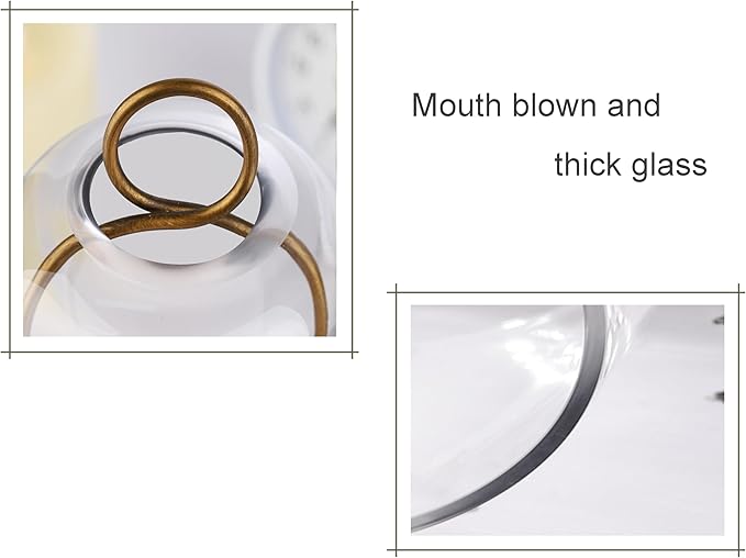 12" High Versatile Modern Metal Hurricane Lantern with Handmade Sturdy Glass Dome for 3" Pillar Candle & Plants (Brass, 5"x12")-HomvellaHome