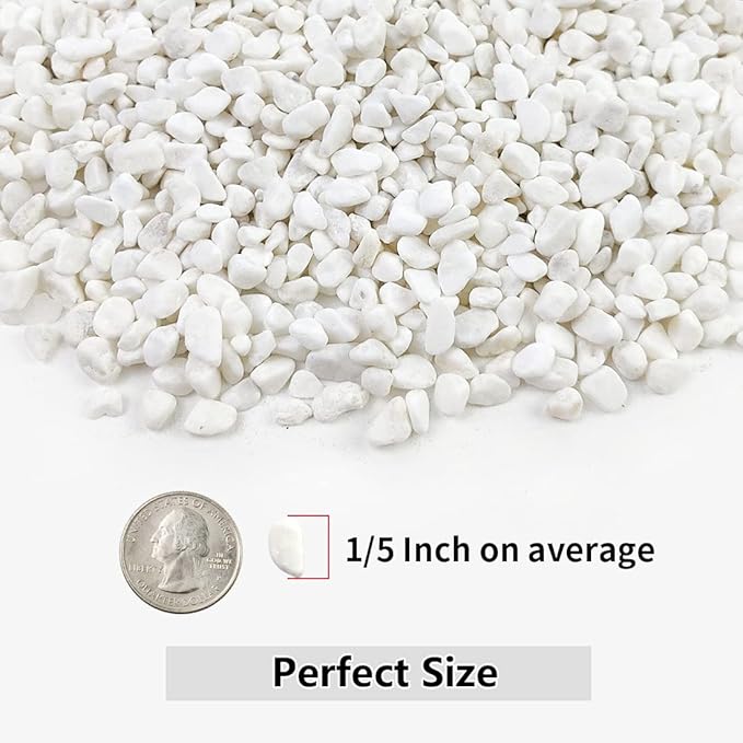 10LB Succulent and Cactus Gravel, 1/5 Inch White Natural Decorative Polished Pebbles for Landscaping, River Rocks for Plants, Vases, Aquariums, Terrarium and Outdoor Gardening-HomvellaHome