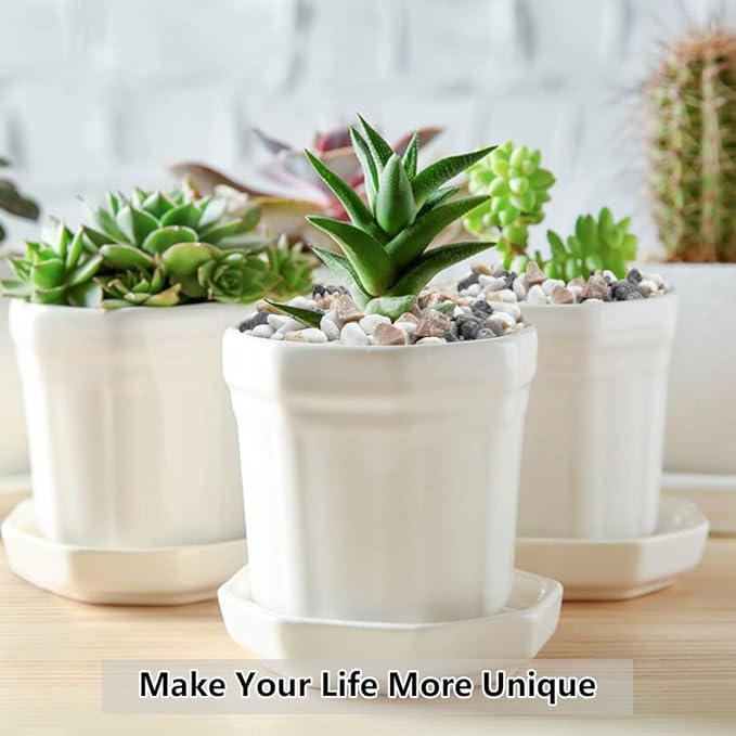 10LB Succulent and Cactus Gravel Pebbles, 1/5 Inch Natural Decorative Polished Stones, River Rocks for Plants, Vases, Aquariums, Terrarium and Outdoor Gardening,Mixed Color-HomvellaHome