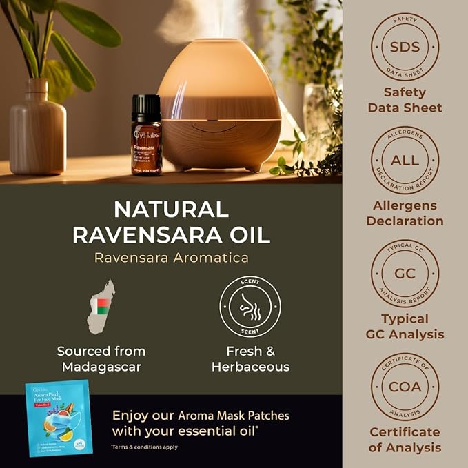 Gya Labs Ravensara Essential Oil for Diffuser - 0.34 Fl Oz - 100% Pure Natural Ravensara Oil for Skin, Hair, Aromatherapy & Candle Making Scent-HomvellaHome
