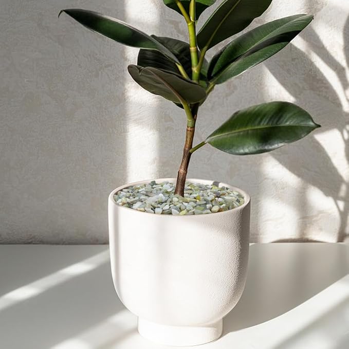 10LB Succulent and Cactus Pebbles, 1/5 Inch Jade Natural Decorative Polished Stones, River Rocks for Plants, Vases and Outdoor Gardening,Green-HomvellaHome