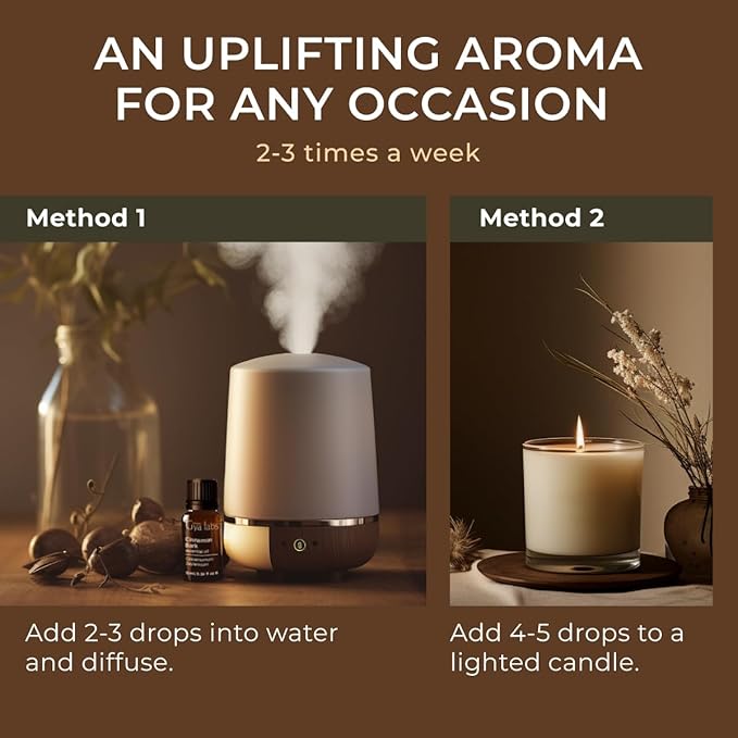 Gya Labs Cinnamon Essential Oil for Diffuser - 0.34 Fl Oz - 100% Pure Natural Cinnamon Bark Essential Oil for Skin, Hair, Lips Body & Candle Making Scent-HomvellaHome