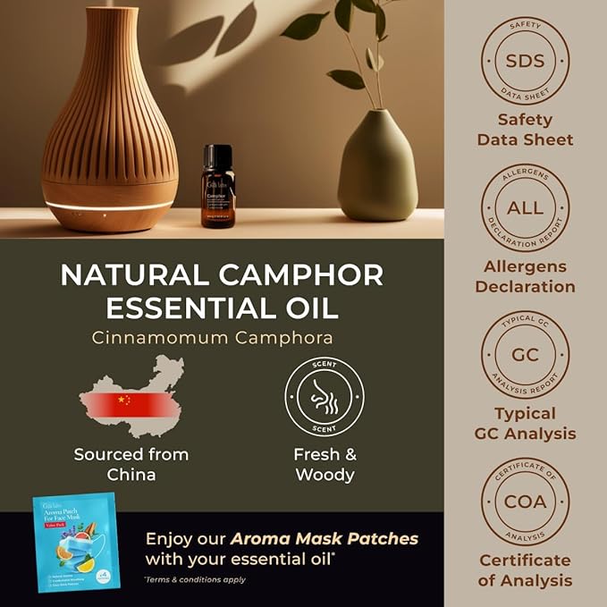 Gya Labs Camphor Oil - 0.34 Fl Oz - 100% Pure Natural Camphor Oil for Skin, Hair, DIY, Aromatherapy - Fresh Sharp & Slightly Woody & for Candle Making Scent-HomvellaHome