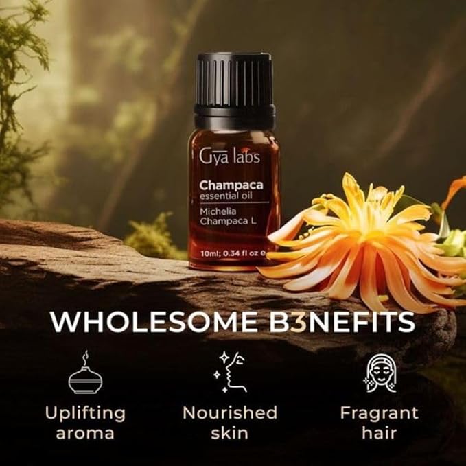Gya Labs Champaca Essential Oil for Diffuser - 0.34 Fl Oz - 100% Pure Natural Champaca Oil for Skin, Hair, DIY Aroma Candle Making Scent-HomvellaHome
