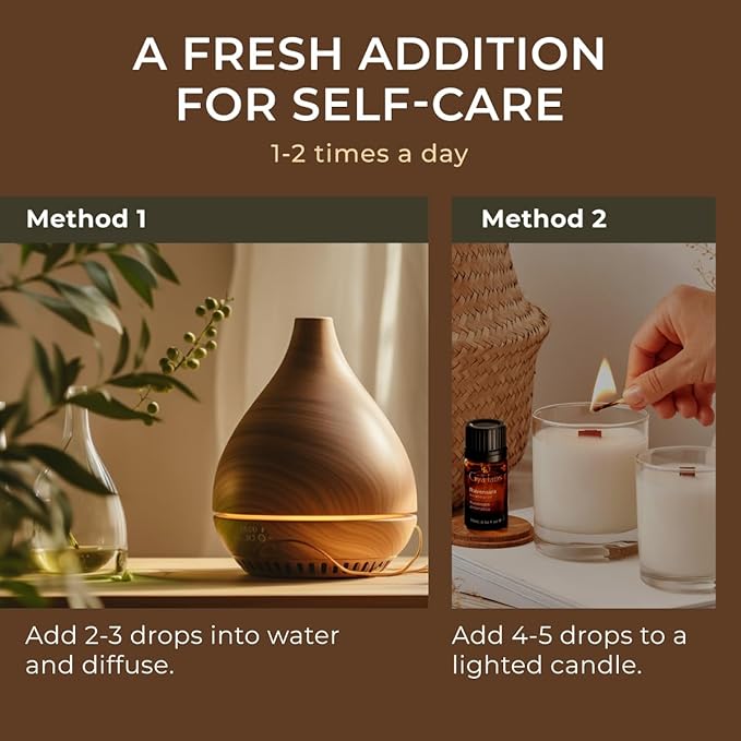 Gya Labs Ravensara Essential Oil for Diffuser - 0.34 Fl Oz - 100% Pure Natural Ravensara Oil for Skin, Hair, Aromatherapy & Candle Making Scent-HomvellaHome