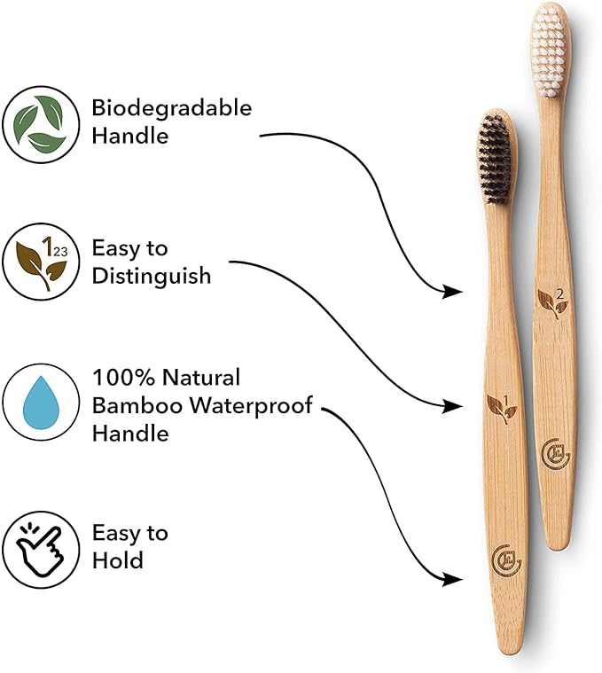 Greenzla Bamboo Toothbrushes for Adults – 12 Pack Wooden Toothbrush Set with Charcoal-Infused Soft Bristles, Natural Oral Care for Daily Use-HomvellaHome