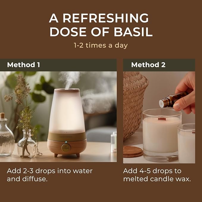 Gya Labs Holy Basil (Tulsi) Essential Oil - 0.34 Fl Oz - 100% Pure Natural Holy Basil Oil for Diffuser & Candle Making Scent-HomvellaHome