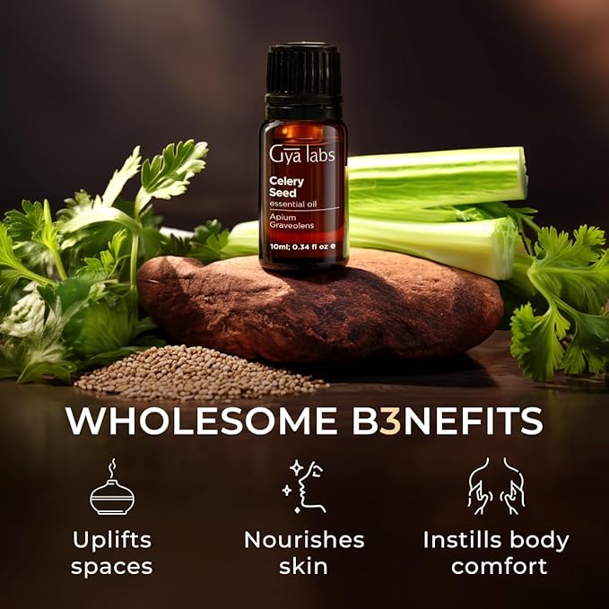 Gya Labs Celery Seed Essential Oil for Diffuser - 0.34 Fl Oz - 100% Pure Natural Celery Seed Oil for Skin & Face, Massage, Candle Making Scent-HomvellaHome
