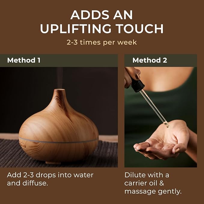 Gya Labs Pine Essential Oils for Diffuser - 0.34 Fl Oz - 100% Pure Natural Fall Pine Oil for Skin, Body Massages & Candle Making Scent-HomvellaHome