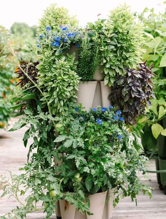 Greenstalk Patented Large 5 Tier Vertical Garden Planter with Patented Internal Watering System Great for Growing a Variety of Strawberries, Vegetables, Herbs, & Flowers (Stunning Stone)-HomvellaHome