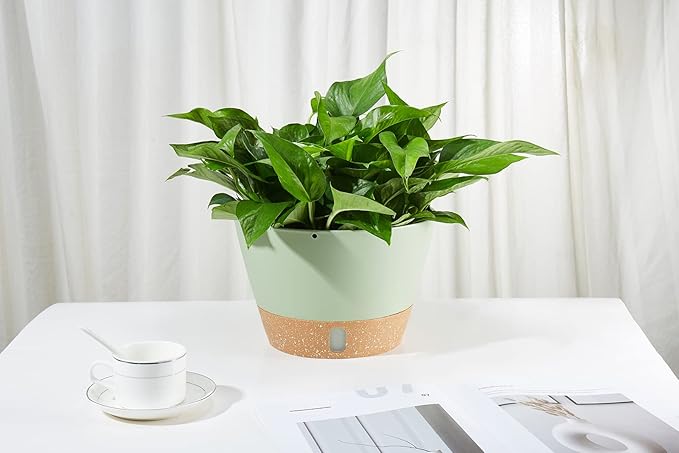 2 Pack Hanging Planters, 10 inch Indoor Outdoor Hanging Plant Pot Basket, Hanging Plastic Flower Pot with Drainage Hole with Removable Tray&Hooks for Hanging Plants,Green-HomvellaHome