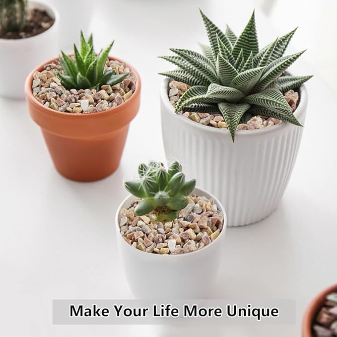 10LB Succulent and Cactus Gravel Pebbles, 1/5 Inch Natural Decorative Polished Stones, River Rocks for Plants, Vases, Aquariums, Terrarium and Outdoor Gardening,Peach-HomvellaHome