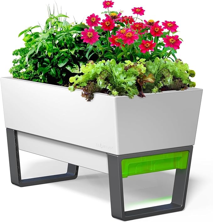 Glowpear Self Watering Planter Box - 29.5", White - UV Stable, Scalable Urban Raised Garden Bed with Water Gauge, Indoor Outdoor for Vegetables, Flowers, Herbs, and Succulents, Gardening-HomvellaHome