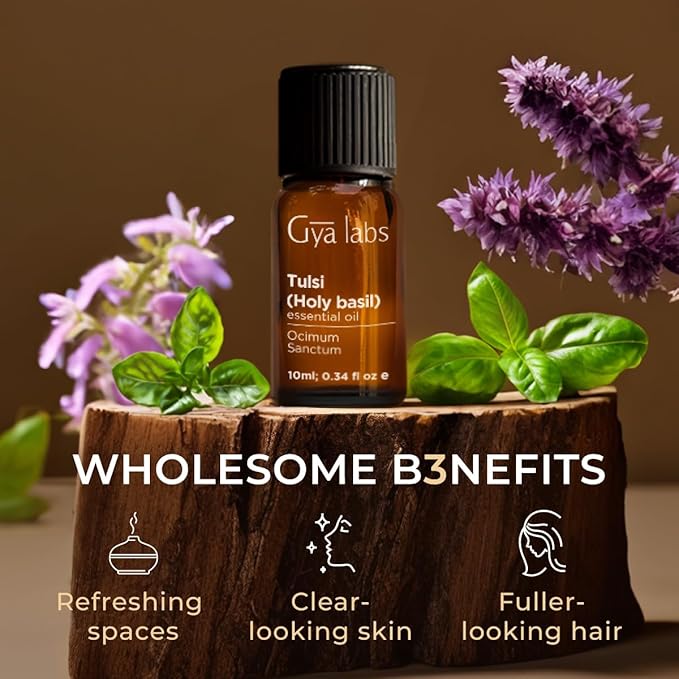 Gya Labs Holy Basil (Tulsi) Essential Oil - 0.34 Fl Oz - 100% Pure Natural Holy Basil Oil for Diffuser & Candle Making Scent-HomvellaHome
