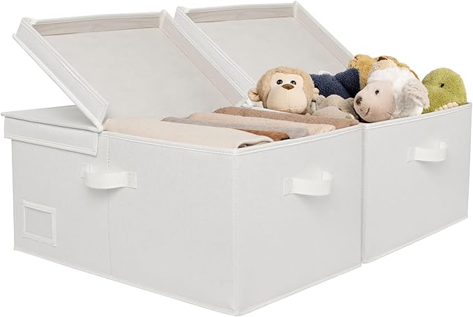 GRANNY SAYS Fabric Storage Bin with Lid, Decorative Storage Boxes, Basket for Shelves, Closet Storage Bins, Large Storage Bins for Clothing, Jumbo, Ivory, 2-Pack-HomvellaHome