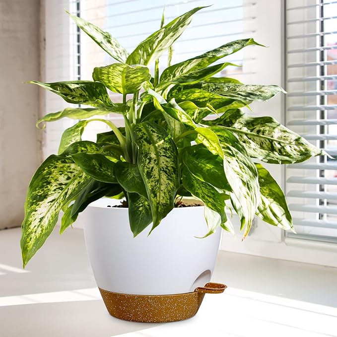 10/9/8 inch Medium Self Watering Pots, Planter, Plant Pots with Mesh Drainage Holes for Indoor Outdoor Garden Plants, Plastic Flower Pots with Removable Deep Reservoir, White with Brown-HomvellaHome