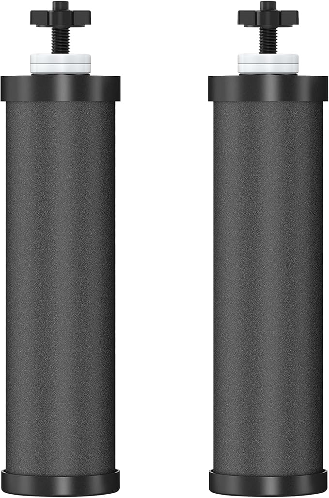 2 Pack Black Filters, Water Filter Replacement for Berkey BB9-2, Compatible with Berkey Gravity Water Filter Systems-HomvellaHome
