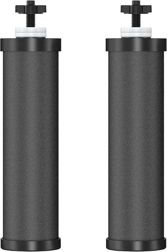 2 Pack Black Filters, Water Filter Replacement for Berkey BB9-2, Compatible with Berkey Gravity Water Filter Systems-HomvellaHome