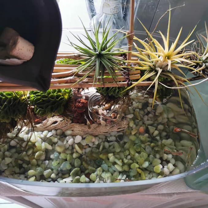 10LB Succulent and Cactus Pebbles, 1/5 Inch Jade Natural Decorative Polished Stones, River Rocks for Plants, Vases and Outdoor Gardening,Green-HomvellaHome