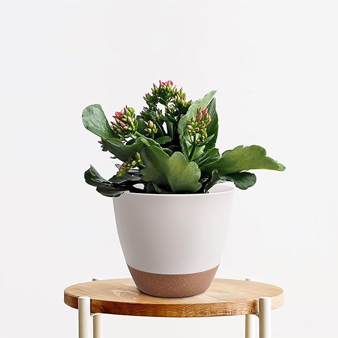 Giraffe Creation Plant Pots Set of 3 (12/10/9 inch), Self-Watering Indoor & Outdoor Flower Planters with Drainage Hole and Reservoir, White-HomvellaHome