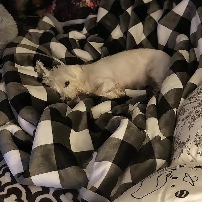 UKELER Buffalo Check/Plaid Throw Blanket 60''×50'' for Couch- Ultra Soft Plush Flannel Fleece Sherpa Throw Bed Throws for Kids and Adult-HomvellaHome