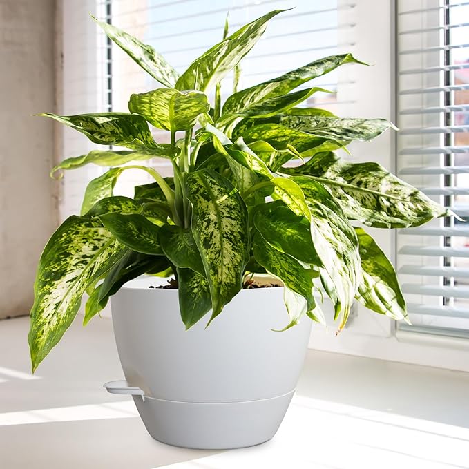 10/9/8 inch Medium Self Watering Pots, Plant Pots with Mesh Drainage Holes for Indoor Outdoor Garden Plants, Flower Pots with Removable Reservoir, Set of 3 Plastic Planters, White-HomvellaHome