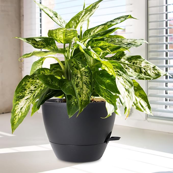 10/9/8 inch Medium Self Watering Pots, Plant Pots with Mesh Drainage Holes for Indoor Outdoor Garden Plants, Flower Pots with Removable Deep Reservoir, Set of 3 Plastic Planters, Black-HomvellaHome