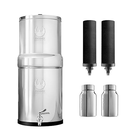 1.5 Gallons NSF Certified AISI 304 Stainless Steel Water Filter with 2 Smart Carbon (Black) Filters, 2 POSTreat Steel Fluoride Removal Elements & Free Stainless Steel Spigot-HomvellaHome