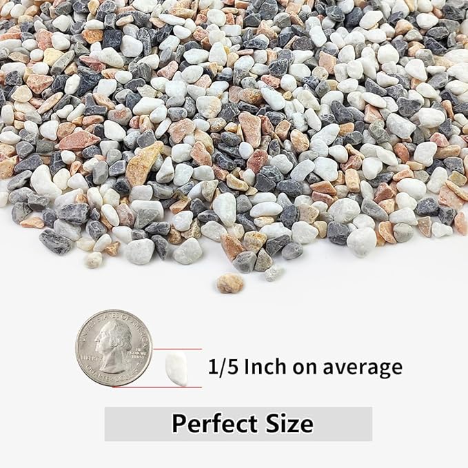 10LB Succulent and Cactus Gravel Pebbles, 1/5 Inch Natural Decorative Polished Stones, River Rocks for Plants, Vases, Aquariums, Terrarium and Outdoor Gardening,Mixed Color-HomvellaHome
