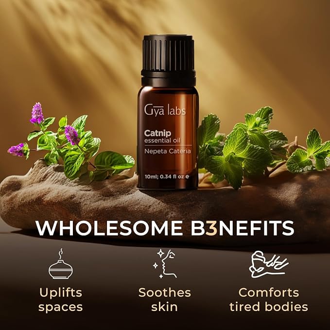 Gya Labs Catnip Essential Oil for Skin - 0.34 Fl Oz - 100% Pure Natural Catnip Oil for Diffuser, Massage & Candle Making Scent-HomvellaHome