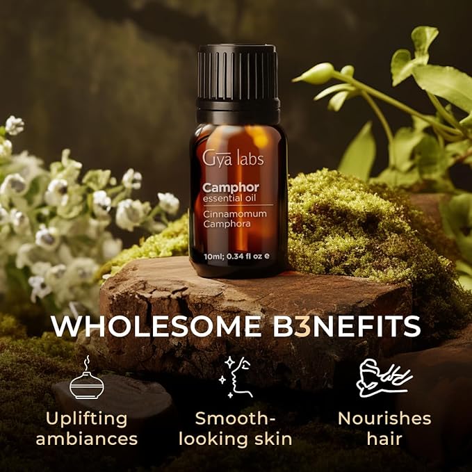 Gya Labs Camphor Oil - 0.34 Fl Oz - 100% Pure Natural Camphor Oil for Skin, Hair, DIY, Aromatherapy - Fresh Sharp & Slightly Woody & for Candle Making Scent-HomvellaHome