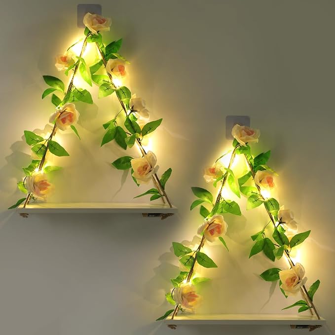 Floating Shelves for Wall,Plant Wall Decor,Hanging Shelf,Cottage Core Decor,Room Decor Aesthetic,Boho Room,Adhesive Shelves,Floating Shelves for No Drilling,Two-Piece Set(Champagne Flower)-HomvellaHome