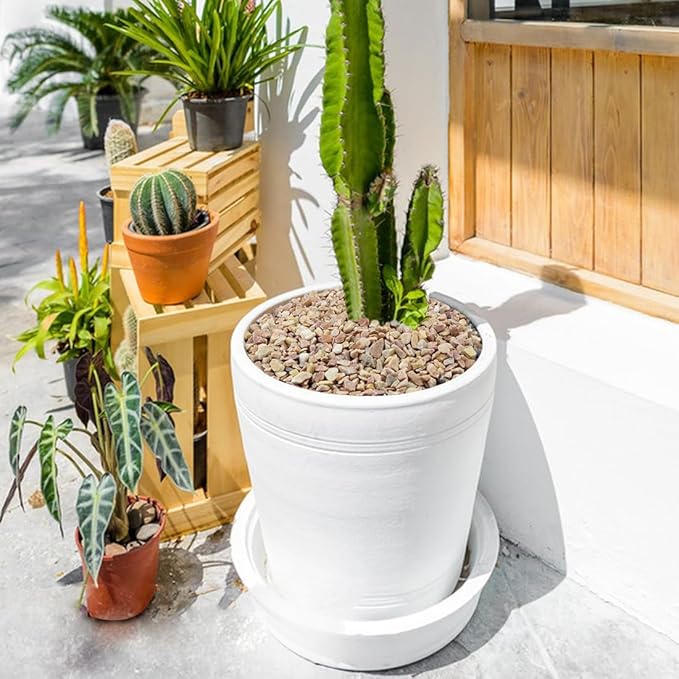 10LB Succulent and Cactus Gravel Pebbles, 1/5 Inch Natural Decorative Polished Stones, River Rocks for Plants, Vases, Aquariums, Terrarium and Outdoor Gardening,Peach-HomvellaHome