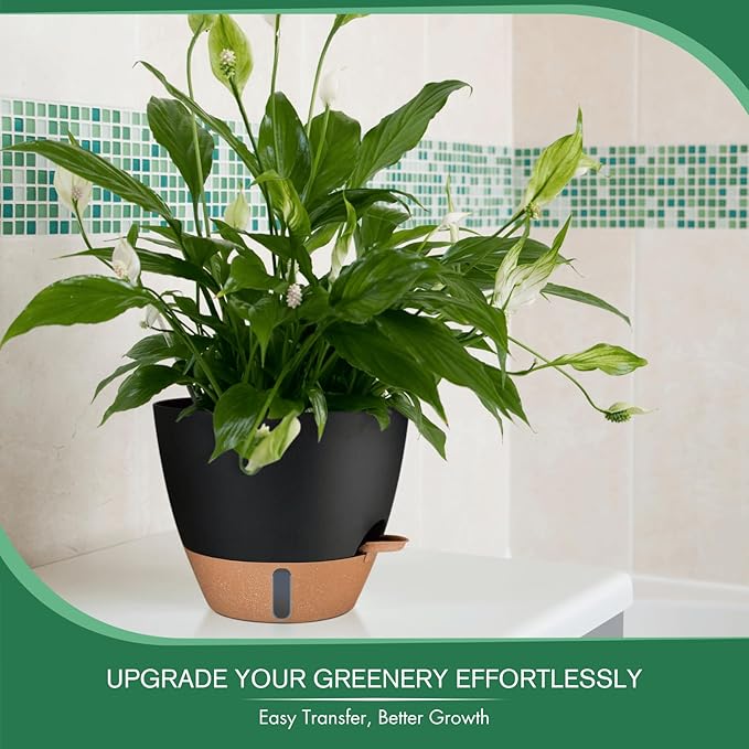 2 Pack 10 inch Plant Pots, PP Plastic Self Watering Plant Pot with Drainage and Tray for Indoor Outdoor Plants , Water Level Window & Reservoir Flower Pots Decorative Planter (Black, 10 Inch)-HomvellaHome