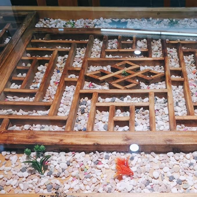 10LB Succulent and Cactus Gravel Pebbles, 1/5 Inch Natural Decorative Polished Stones, River Rocks for Plants, Vases, Aquariums, Terrarium and Outdoor Gardening,Mixed Color-HomvellaHome